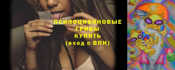 ПСИЛОЦИБИНОВЫЕ ГРИБЫ Армянск