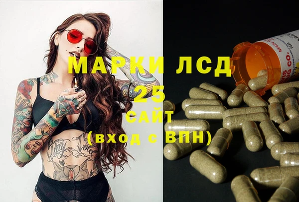 спайс Аркадак