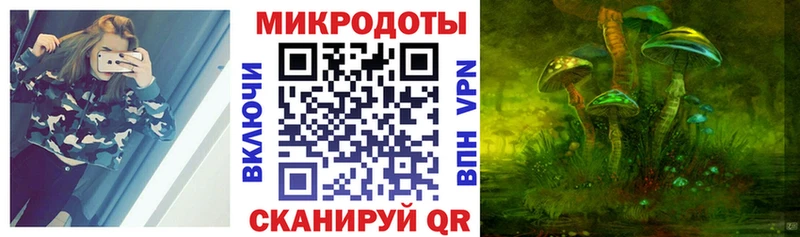 Псилоцибиновые грибы Cubensis  Магас 